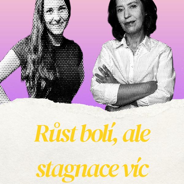 Podnikatelský mindset
